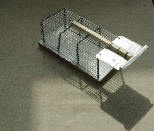 a mouse trap